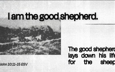 The Good Shepherd vs the Hired Hand (Part 1)