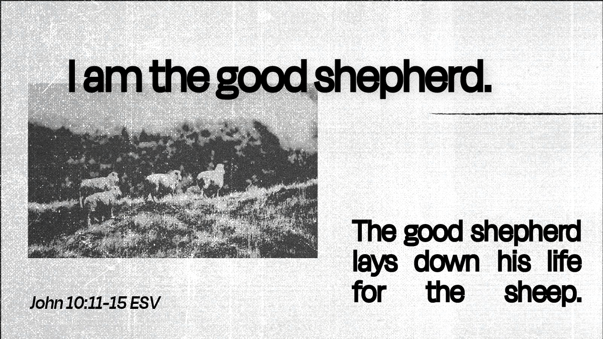 Interseed Prayer App - I Am The Good Shepherd Devotional